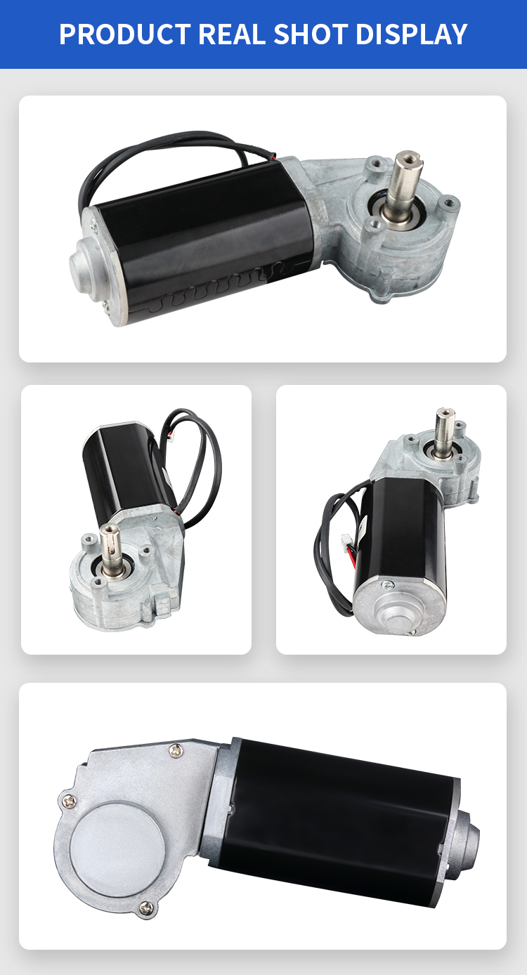 Worm gear motor detail 4
