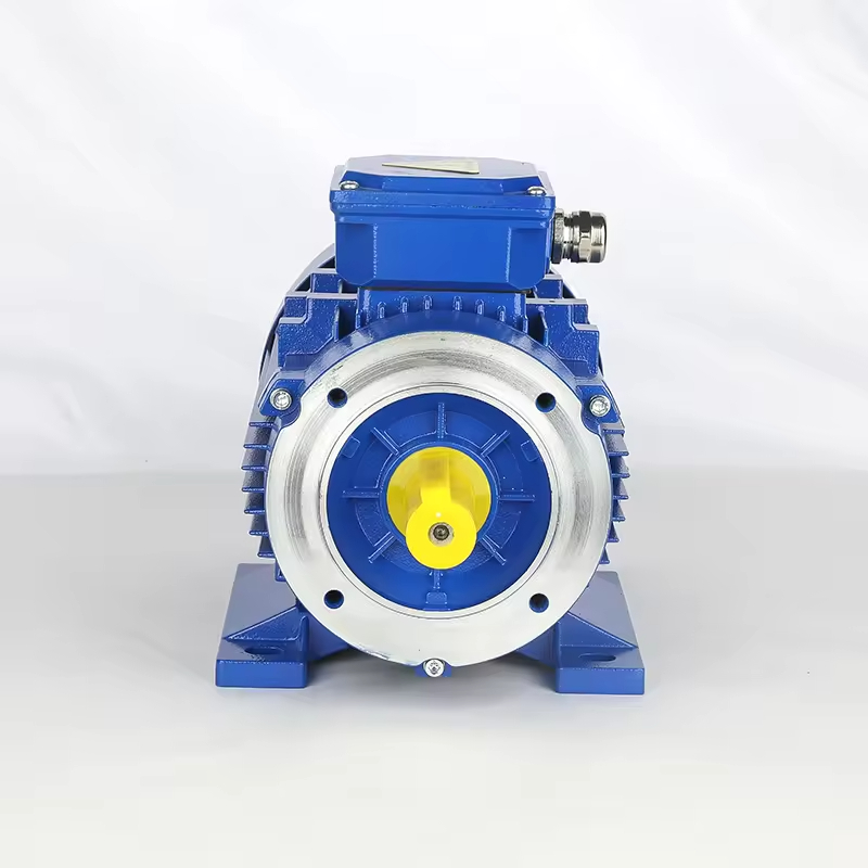 Best Selling YS Series 3 Phase Asynchronous Motor 380V 50Hz AC Motor For Multiple Use