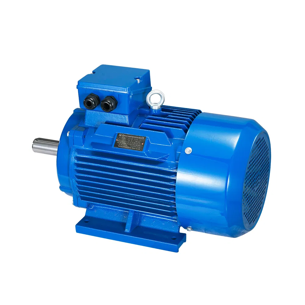 Y2 Y3 Ie2 Ie3 Ie1 Supplier 18.5kw 22kw 30kw 45kw 55kw 75kw 160kw 200kw 2800rpm 220V 380V AC Induction Electric 3phase Motor