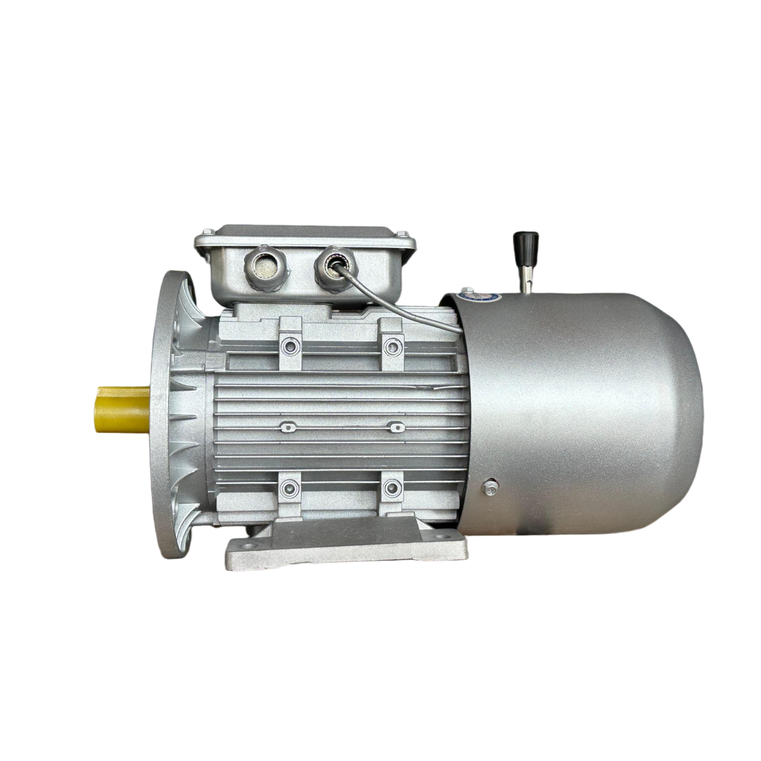Fast Braking Three Phase 4 Pole Asynchronous Brake Motor 380V IE3 Efficiency IP54 Protection Aluminum Housing 1400 RPM Hoist
