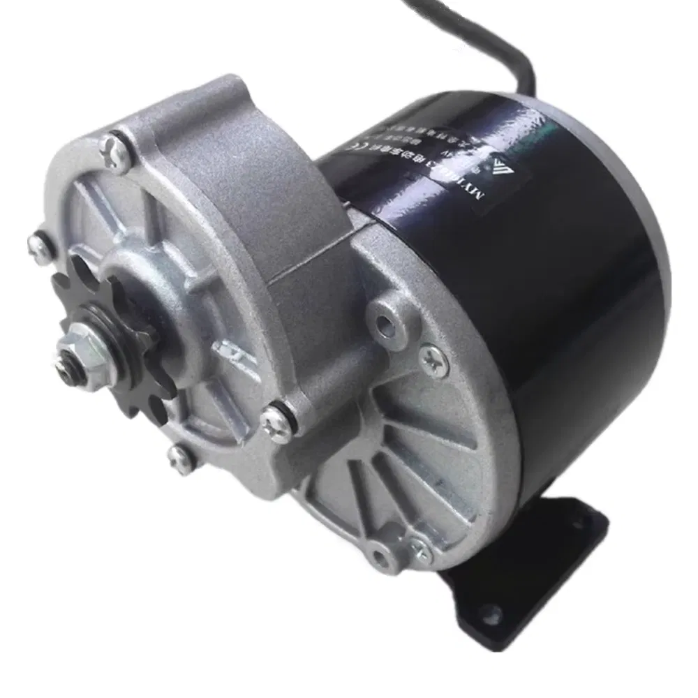 350W 24V 36V DC Gear Motor for Wheelchair Electric Tricycle Vehicle Motorcycle My1016z