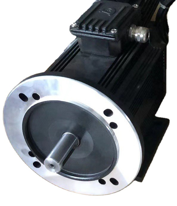3000W Electric BLDC Brushless DC Motor 48V 1HP 1kw 2kw 3kw