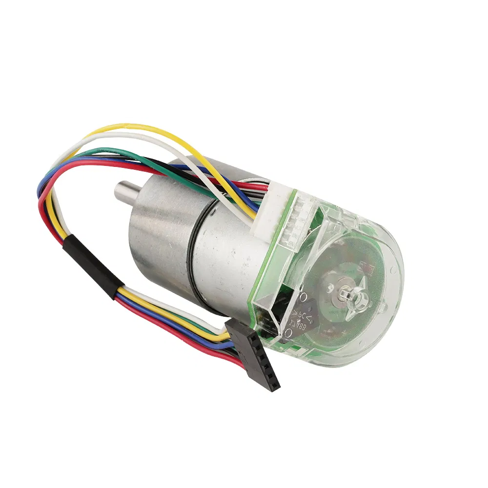 6V 12V High Torque 37mm AC DC Electric Worm Gear Motor Gearmotor Reducer Electricial Geared Motor with 64CPR Encoder for Robot