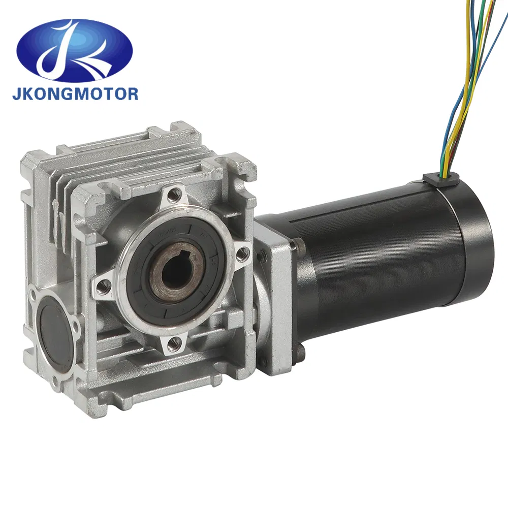 12V 24V 36V 48V 57mm Brushless DC Motor BLDC with Worm Gearbox