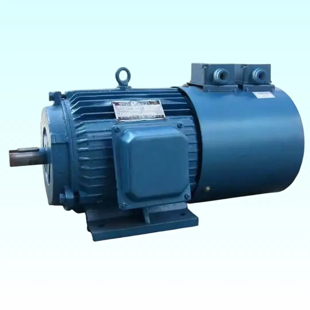 Customized IP55 Variable Speed Asynchronous Motor for International Trade