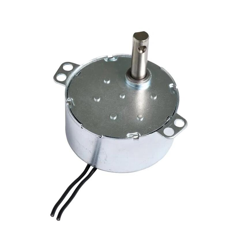 Best Price AC Synchronous Motor 49tyj 4W 12/24V 110/220V for Electric Fireplace