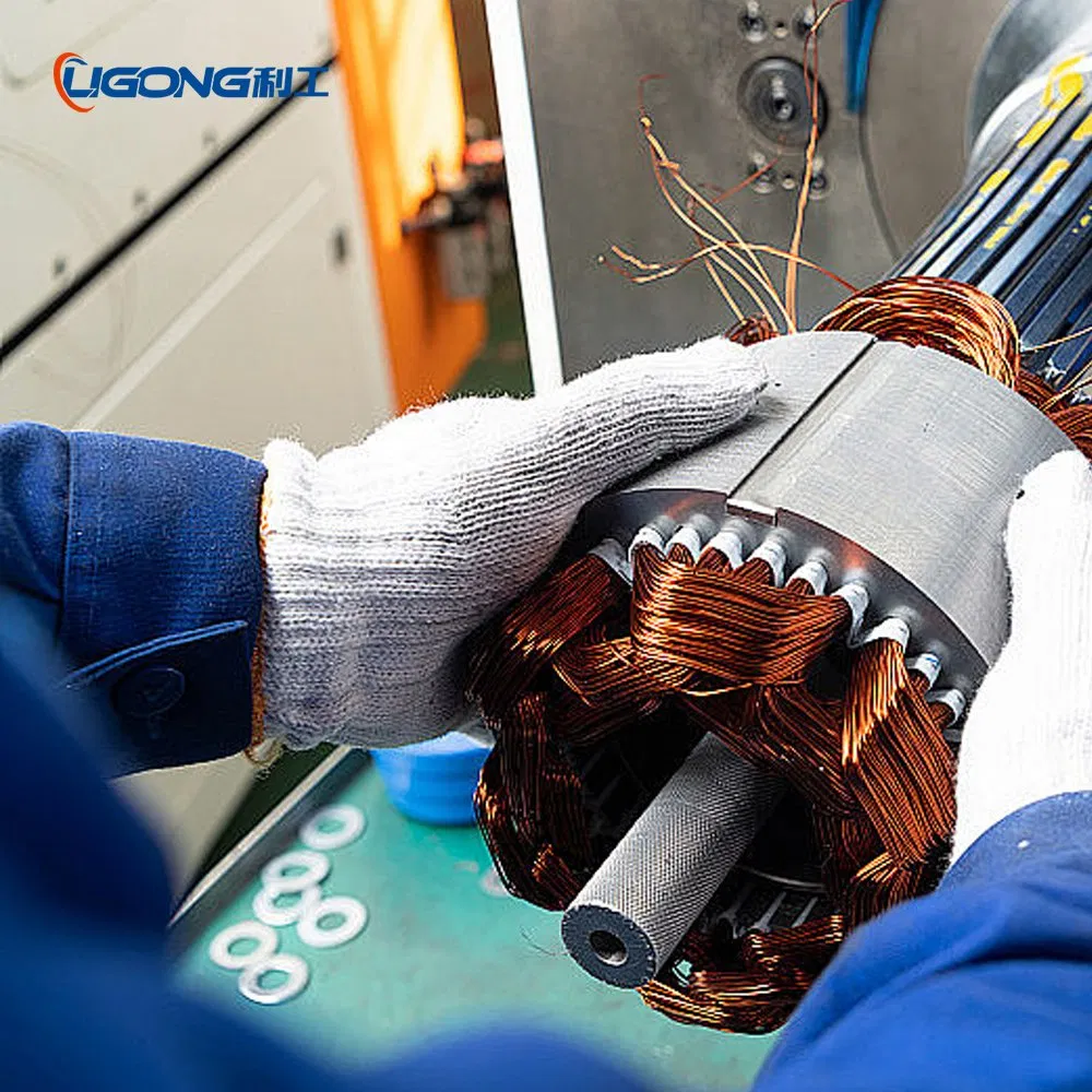 Ie3/Ie4/Ie5 Efficiency Three-Phase Asynchronous Electric AC Motor Induction Competitive Price