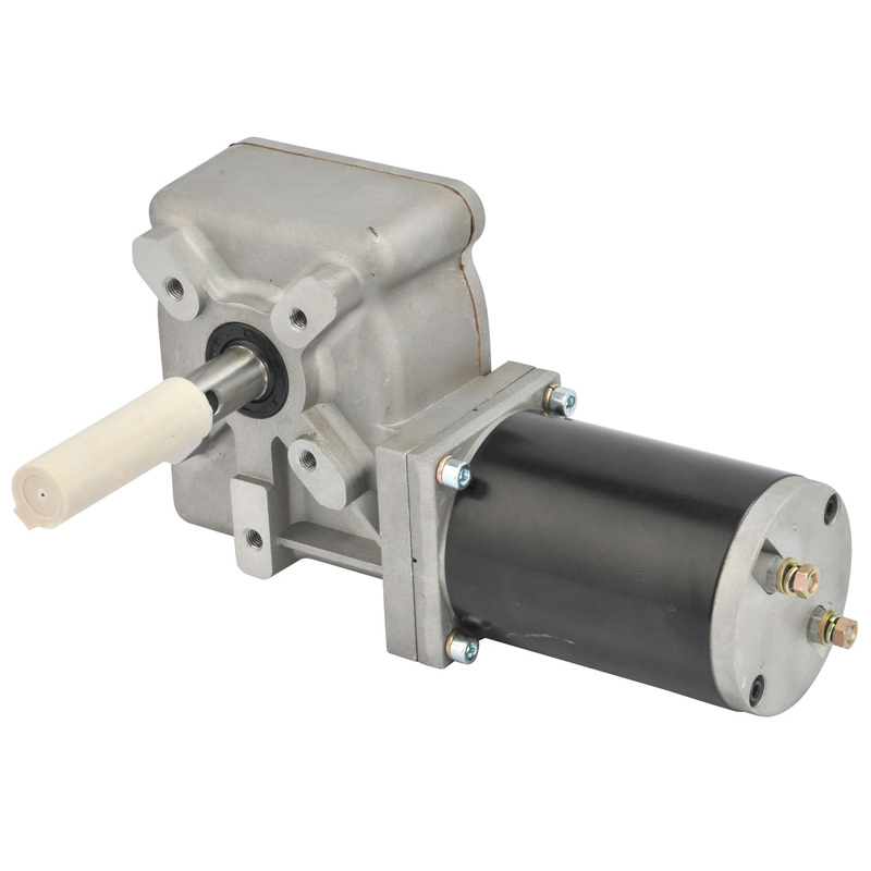 73zyt Hollow Shaft 24V Permanent Magnet Sliding Door 12V DC Wiper DC Worm Gear Motor