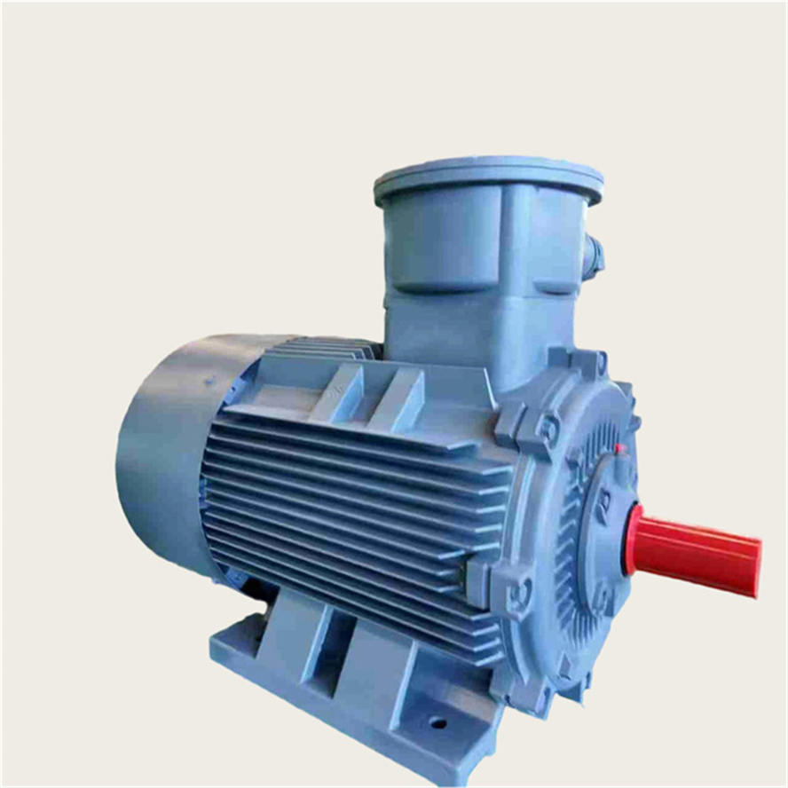 50Hz Explosion Proof Pump Motor Three Phase Asynchronous AC Induction Electric Motor