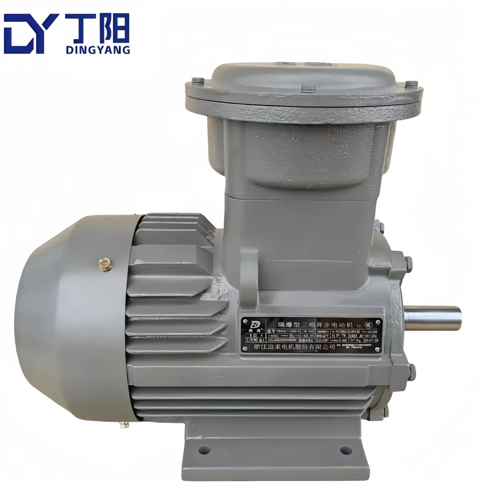 Motor Detail 1