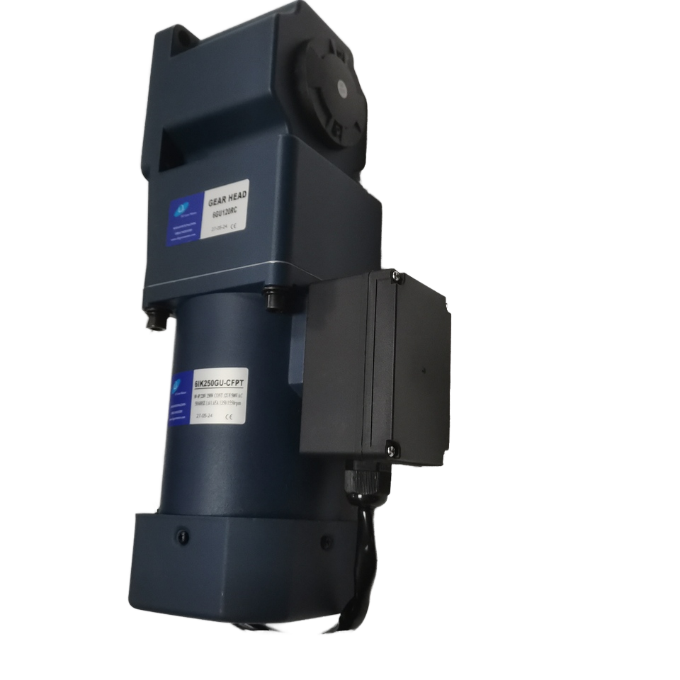 250W AC Right Angle Hollow Shaft Micro Gear Motor Single Phase 220V With Thermal Protection High Speed Reducer