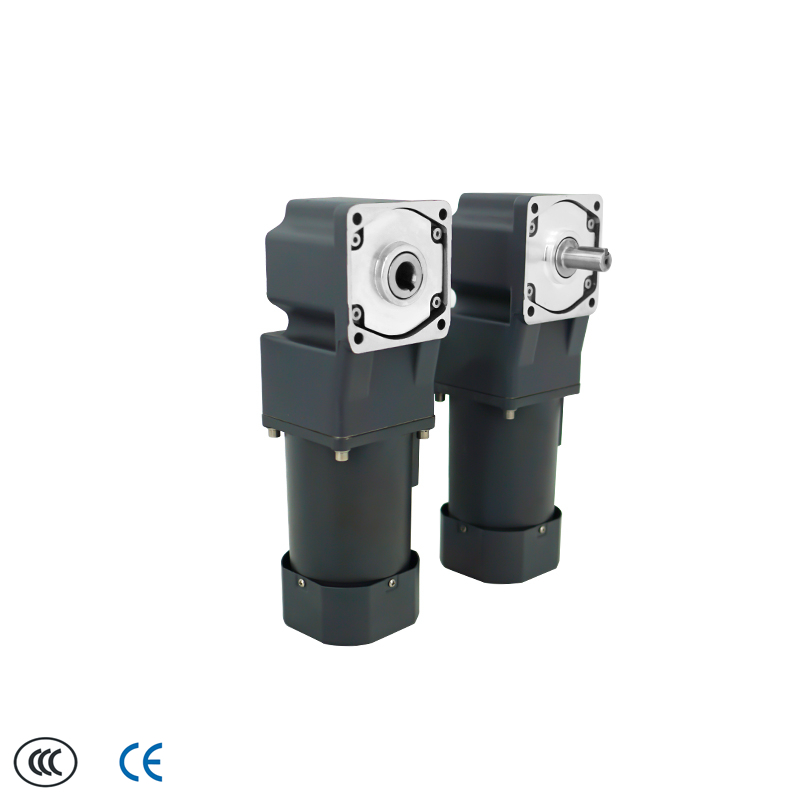CHBNS Single Phase 220V AC 25W to 250W Right Angle Hollow Shaft Solid Shaft Gear Motor With Speed Controller