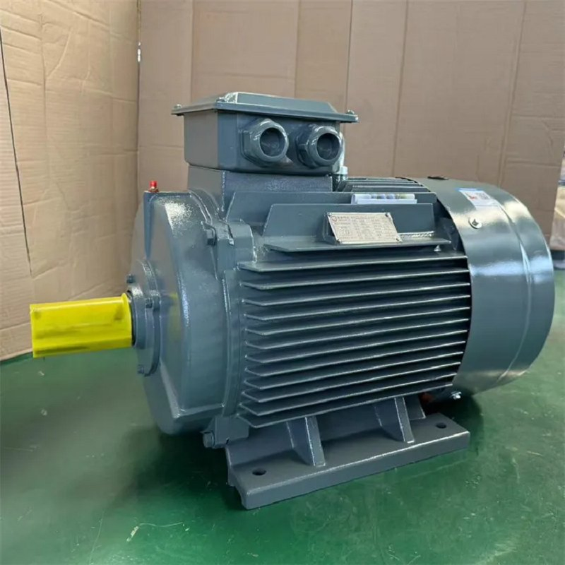 High Voltage Industrial Explosion Proof Electrical 50Hz/60Hz Squirrel Cage Three Phase Asynchronous AC Induction Electric Motor