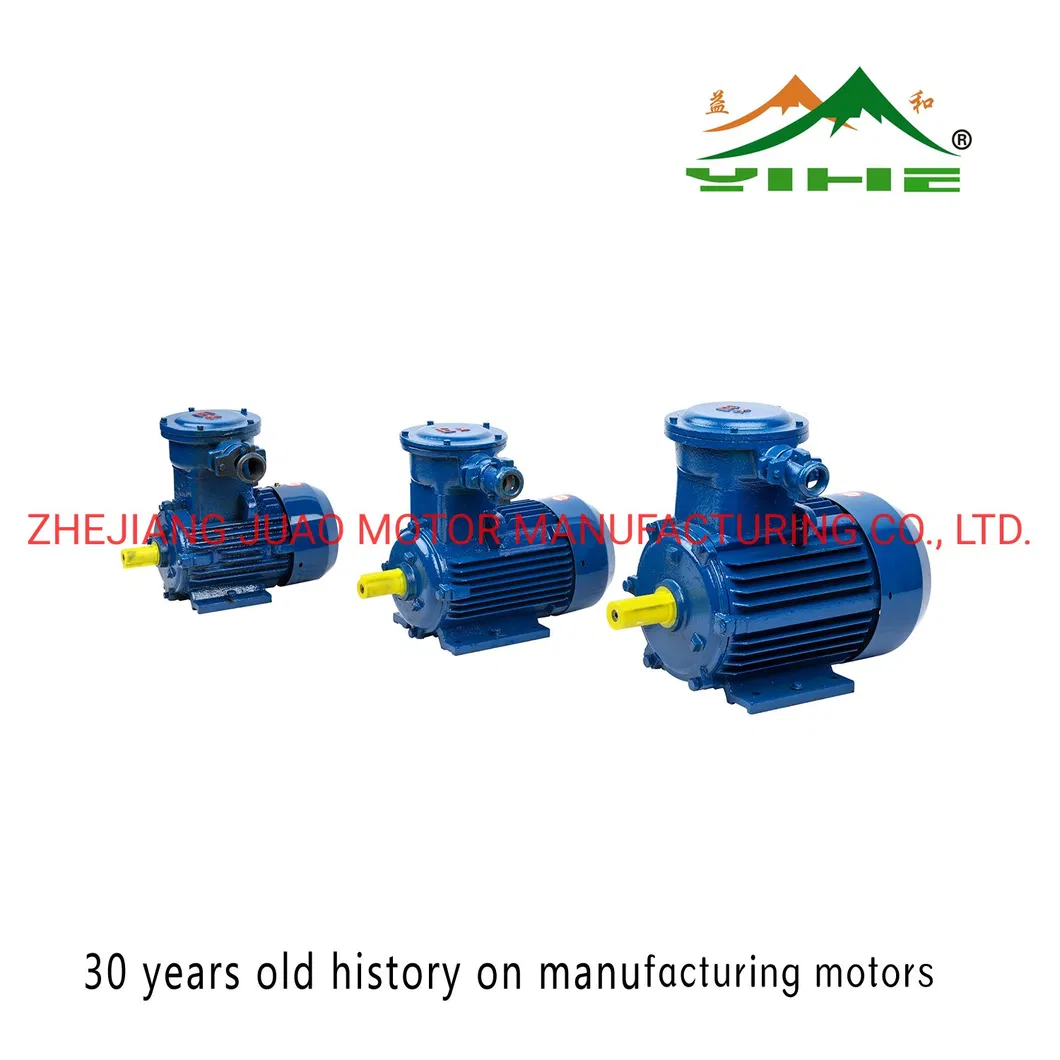 Motor View 1