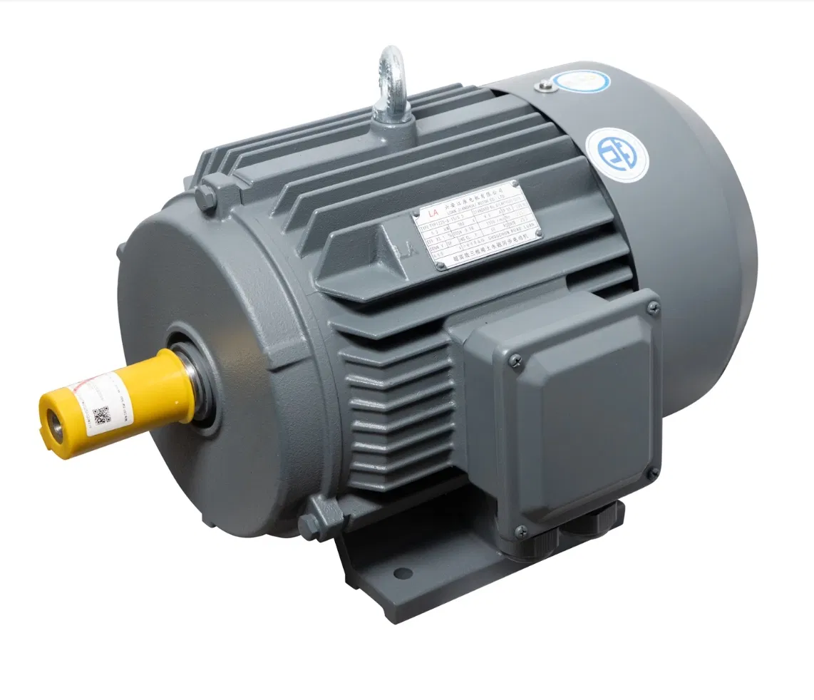 PMSM Motor