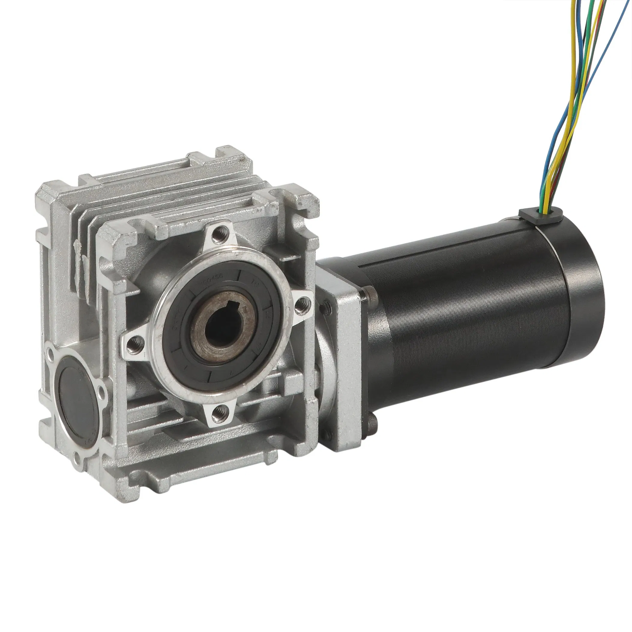 12V 24V 36V 48V 57mm Brushless DC Motor BLDC with Worm Gearbox
