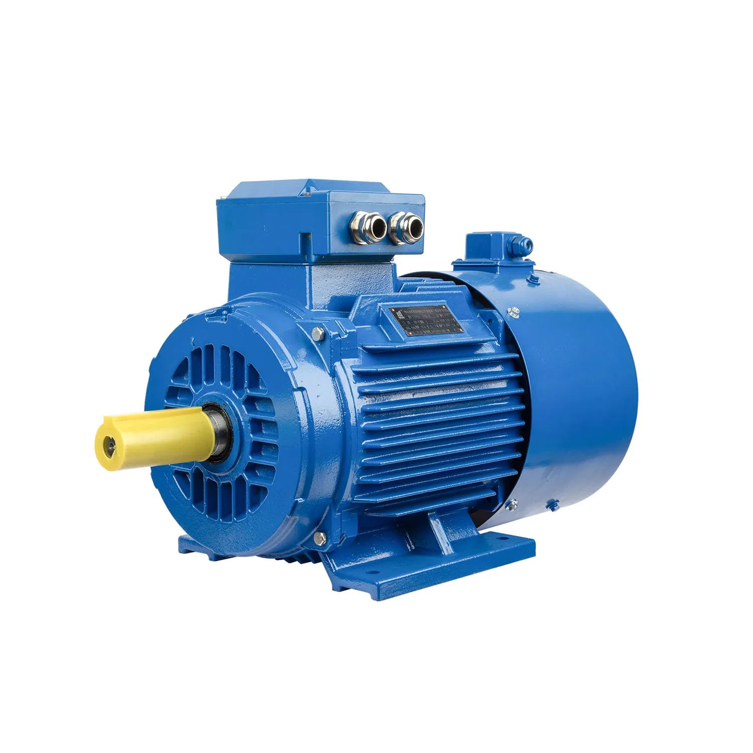 High Quality 37kw 45kw 55kw 75kw Yvf2 Series Variable Frequency Speed Control AC Asynchronous Induction Electric Motor