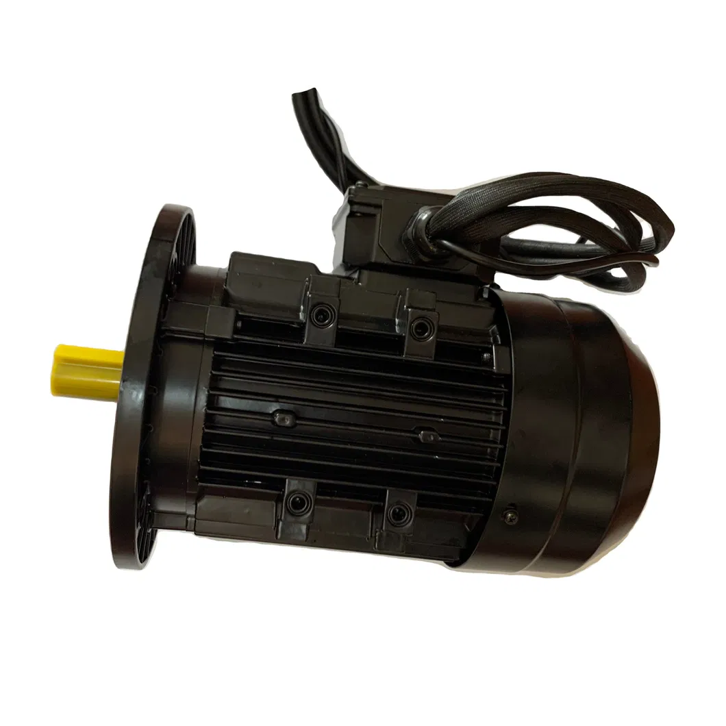 Motor View 1