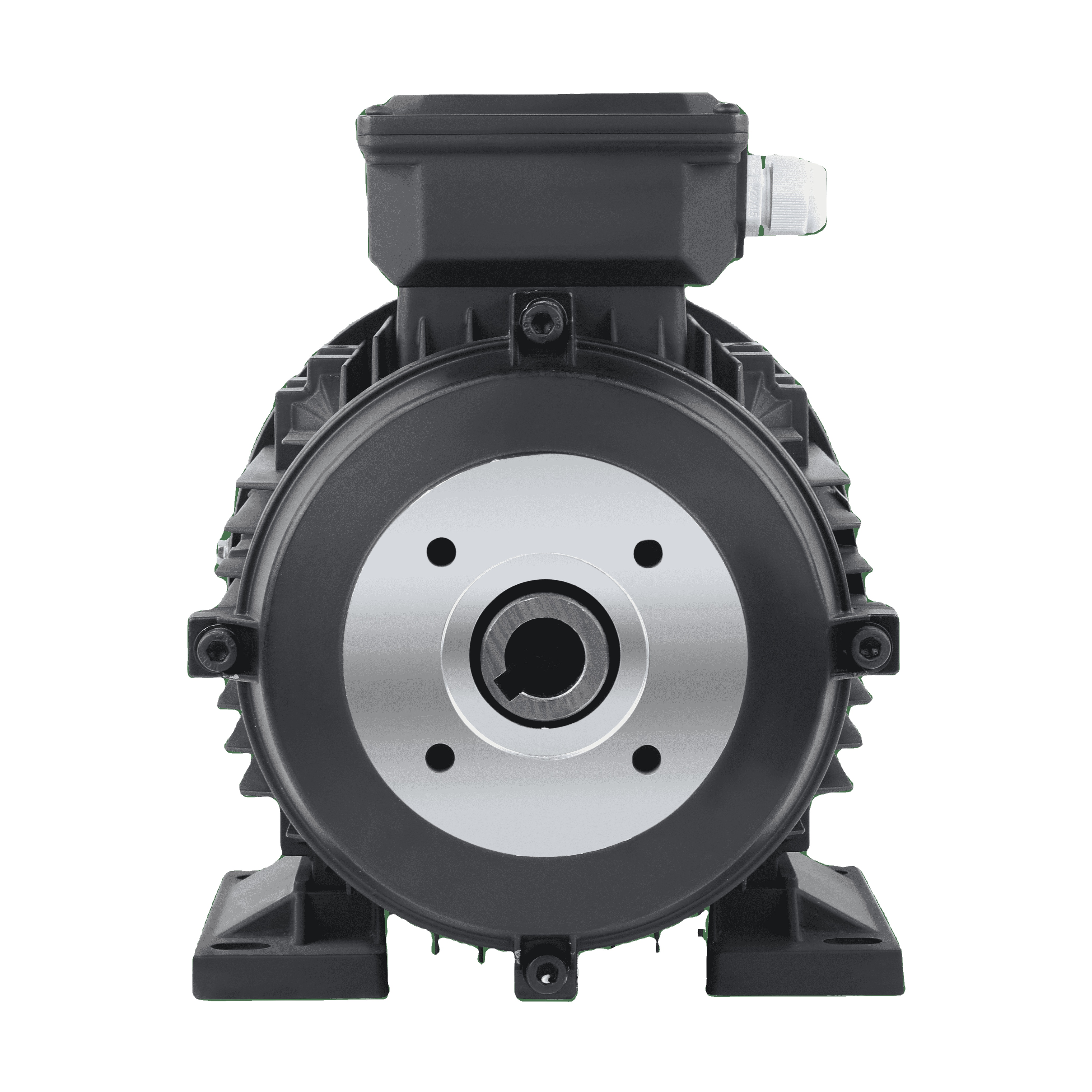 2.2kw 4kw 5.5kw 7.5kw 11kw 15kw 18.5kw Double Bearing Hollow Shaft Motor For Italian 24mm Pump