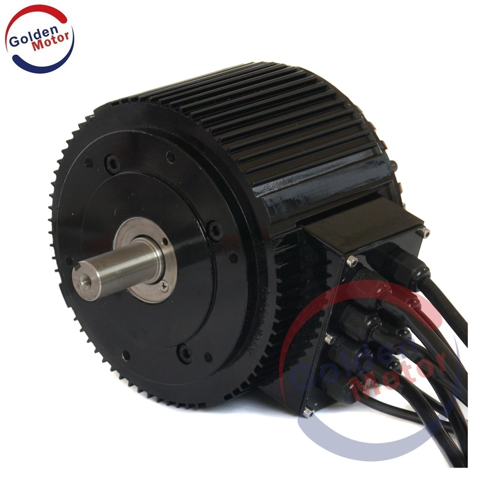 10KW Powerful High Torque BLDC Brushed DC Electric ATV Motor