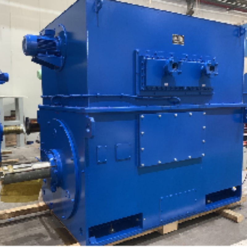 Robust 1000kw Ship Asynchronous Main Propulsion Motor with 660V High Torque