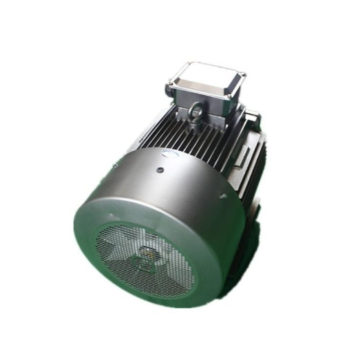 Typ Permanent Magnet Motor Platform for Advanced Energy-Efficient Machinery and Precision Industrial Motion Control Across Industries