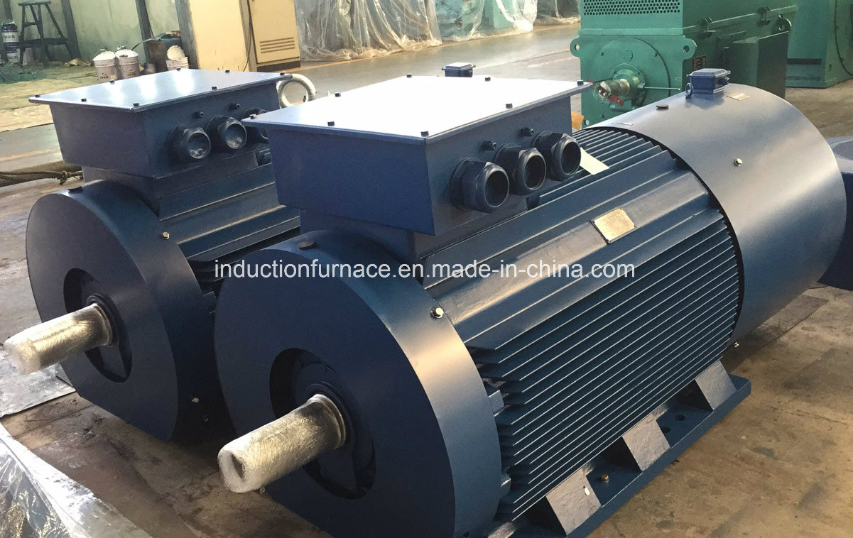 Yvf2 Y2vp Yjp Ysp Variable Frequency Speed VFD Converter Duty AC Motor