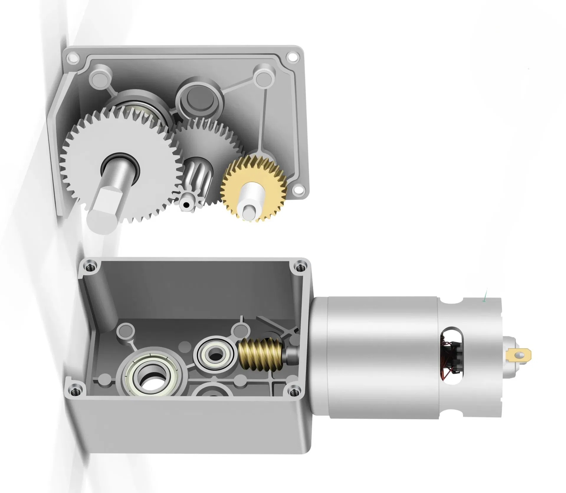 Worm Gear Mechanics