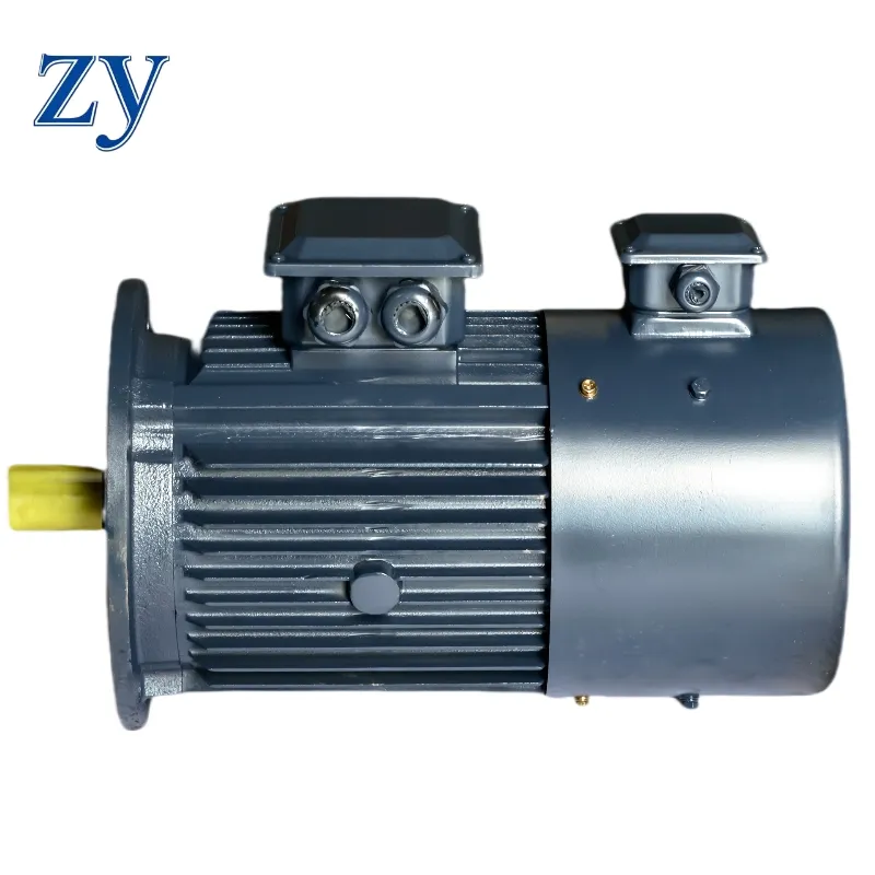 Motor View 1