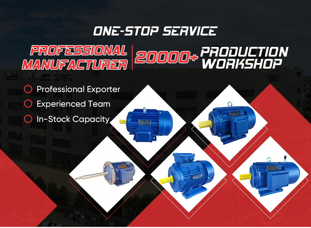 Ms Series Motor