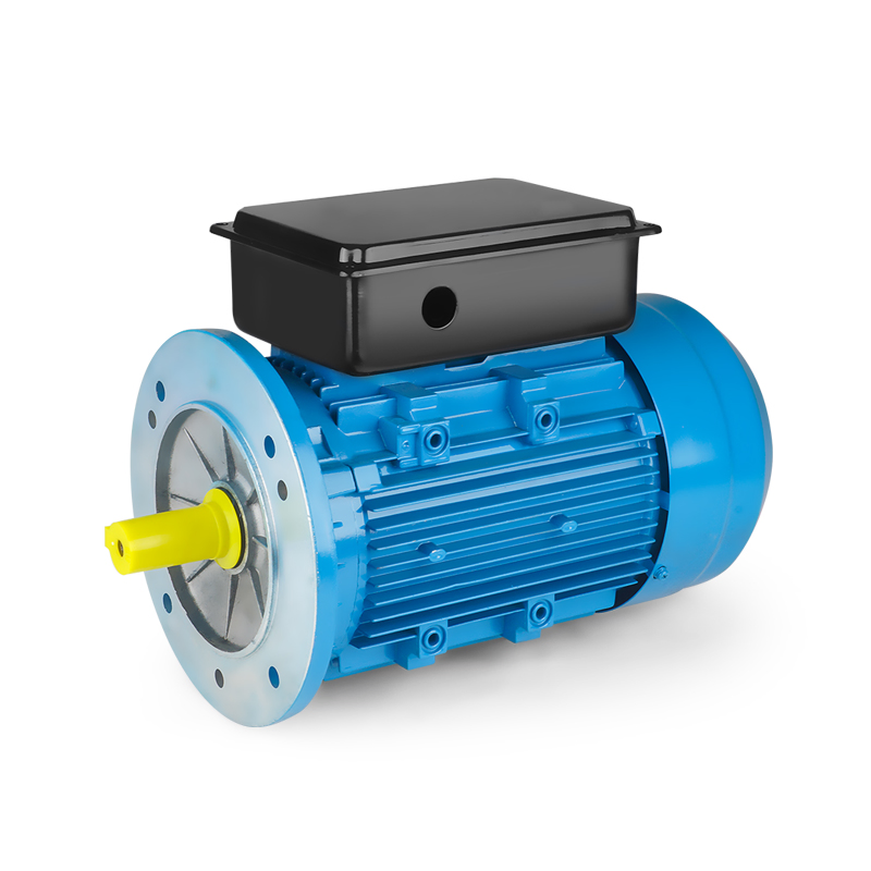 Single Phase Induction Motor 220V Meat Grinder Food Packaging Machinery Motor