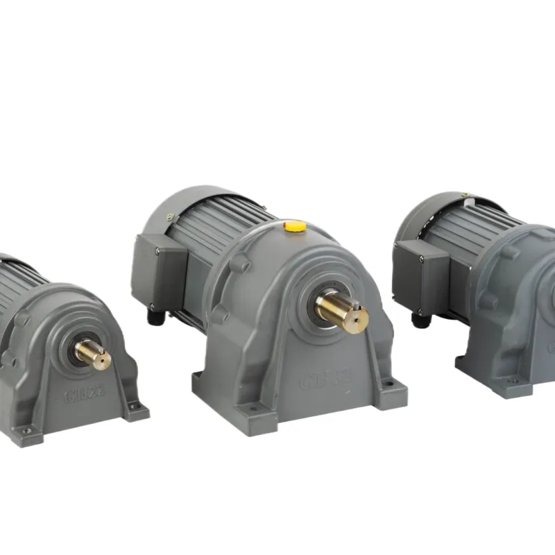 Small AC Gear Motor Details