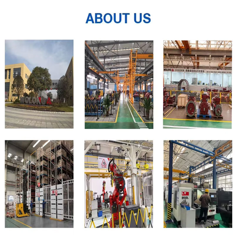 Wolong Nanyang Yfb3 Series Low Voltage Dust Explosion-Proof Asynchronous Three-Phase AC Motor