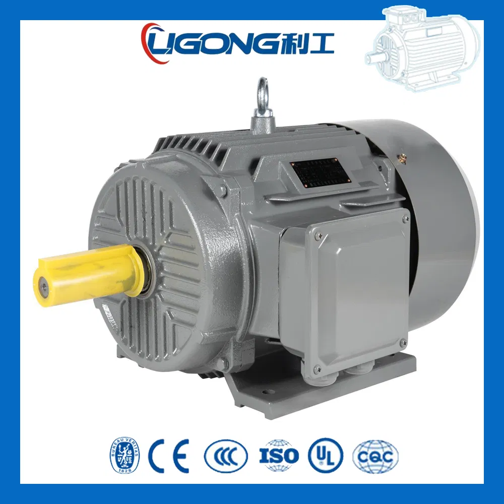 Yd-180L-8/6/4 Triple-Speed Speed Variable Yd Three-Phase Asynchronous Motor 7kw/9kw/12kw for Packaging Machinery