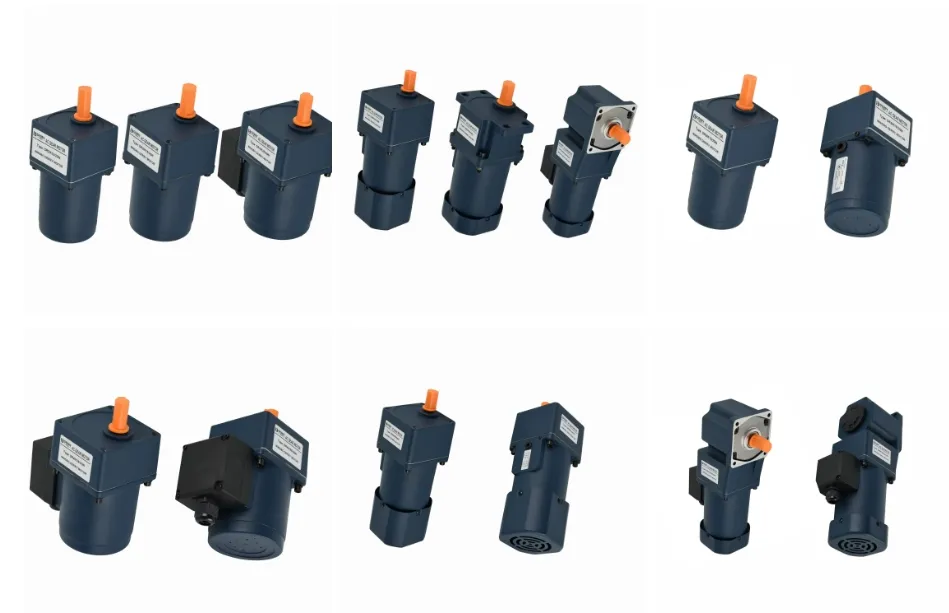 Variable Speed Gear Motor