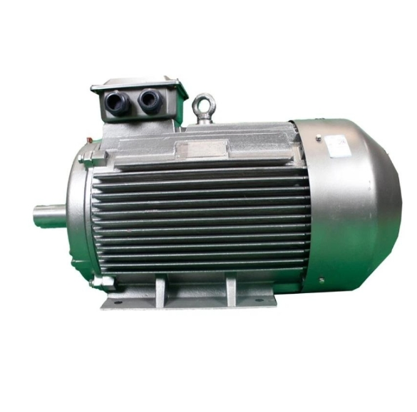 Typ Permanent Magnet Motor Platform for Advanced Energy-Efficient Machinery and Precision Industrial Motion Control Across Industries