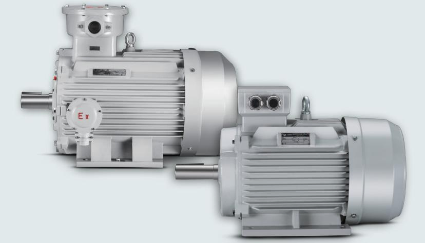 Atex Certified Yfb3 Series High-Efficient Dust Explosion Proof Induction Motor (2.2kw)