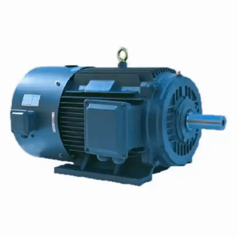 Customized IP55 Variable Speed Asynchronous Motor for International Trade