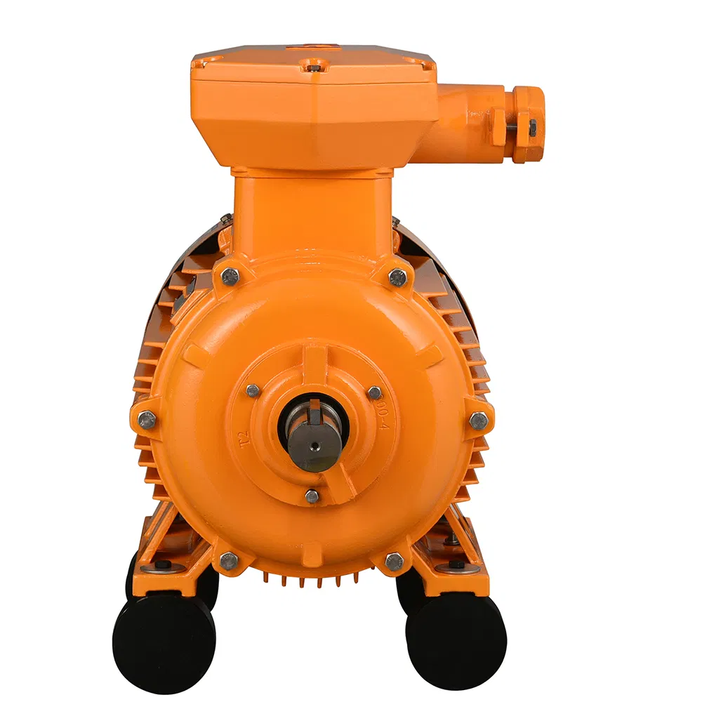 Aolong Ybx3/Ybx4 Flameproof Dust-Proof Explosion Proof AC Electric/Electrical Induction Motors