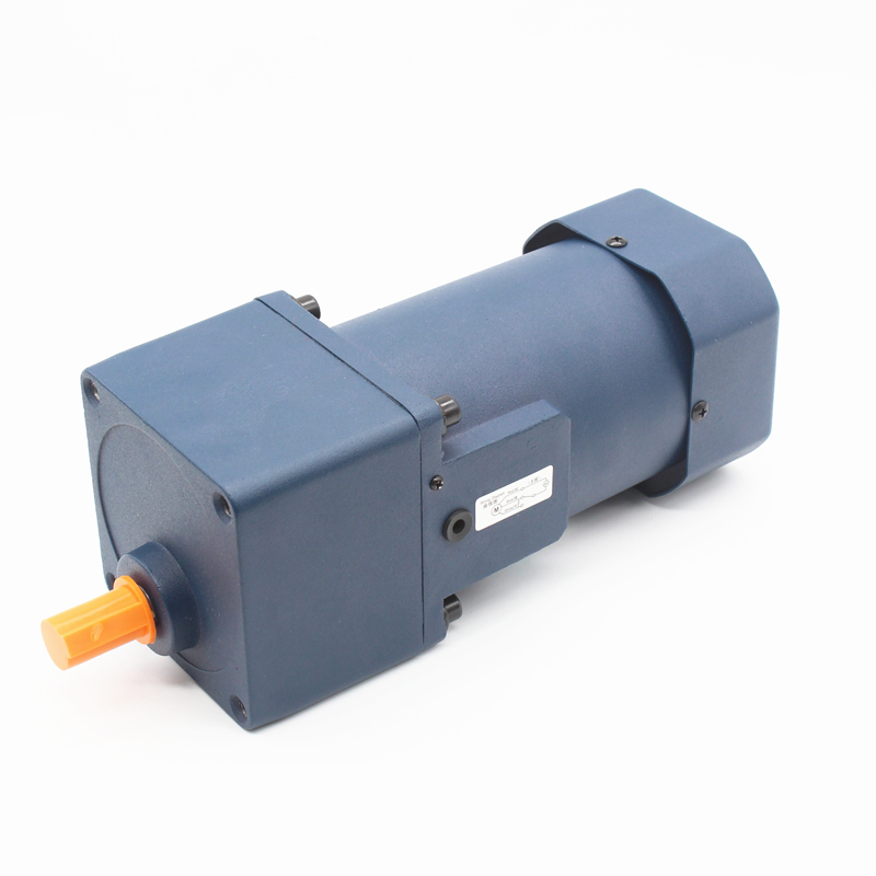 Single Phase 110V 220V 90W Induction AC Gear Motor