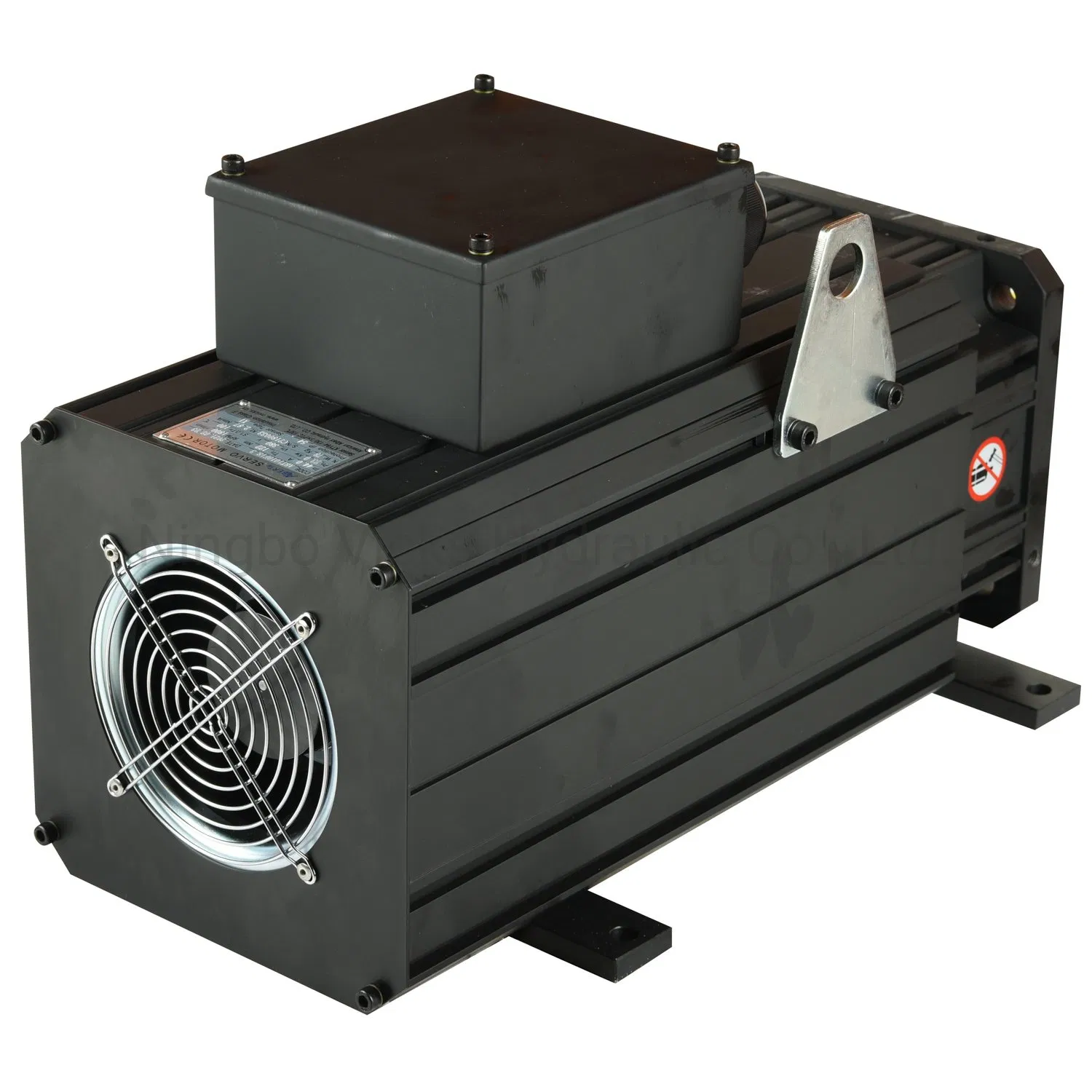 Factory Wholesale Big Servo Motor Sepcially for Plastic Machinery Motion Control