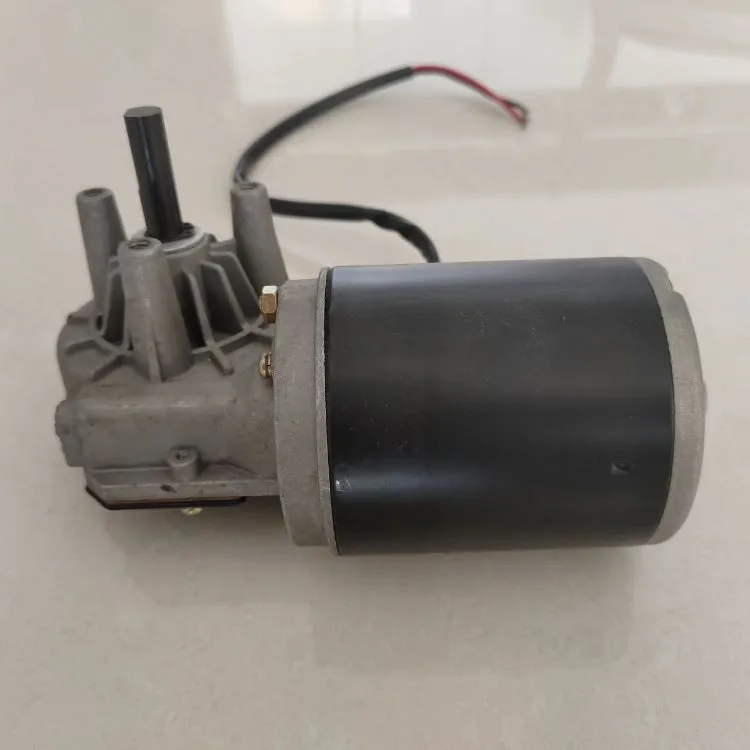 DC Worm Gear Motor 3