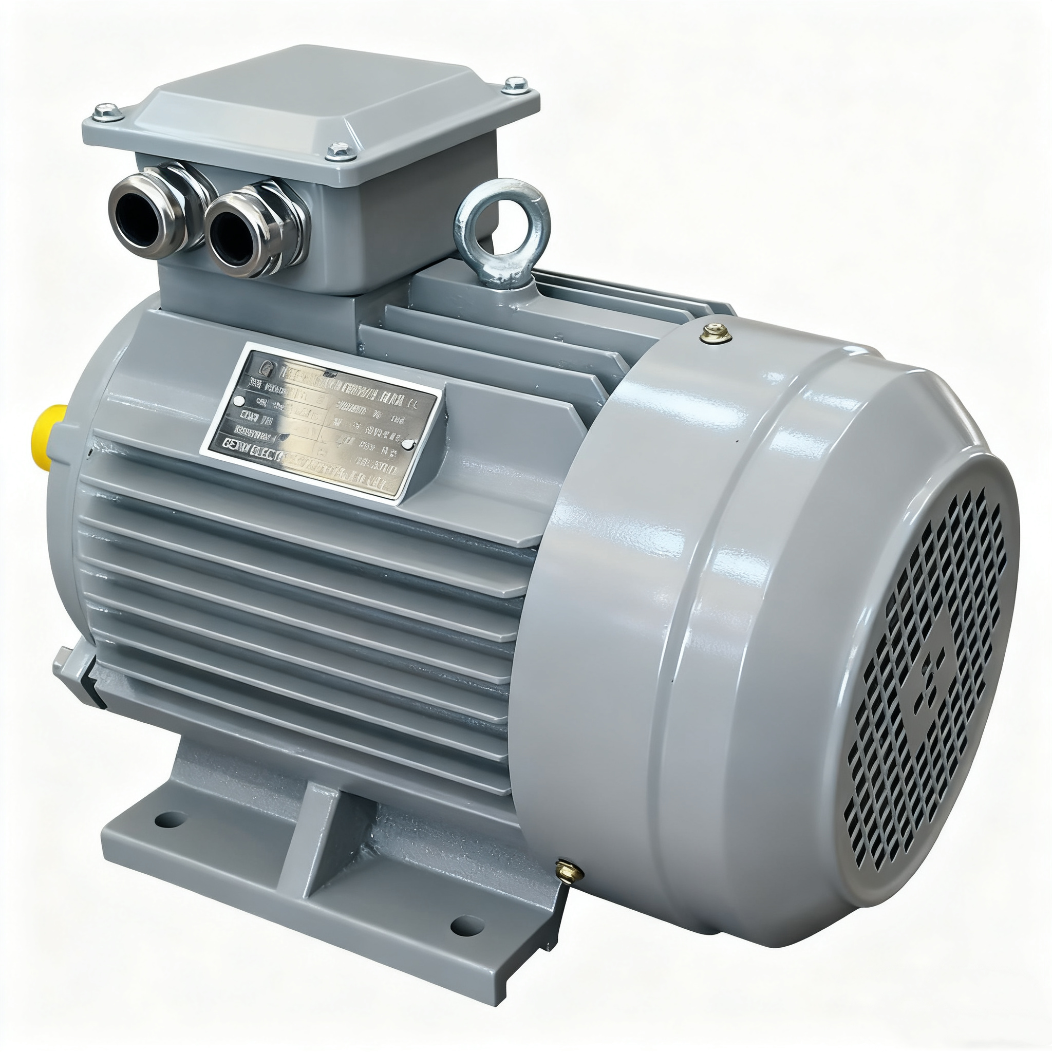 High Efficiency Three-Phase Induction Asynchronous Motor YE3-250M-4 IE3 Electric Motor 55kw AC Motors BIOTE 50/60Hz