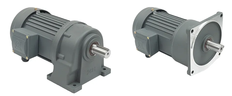 Asynchronous Gear Motor