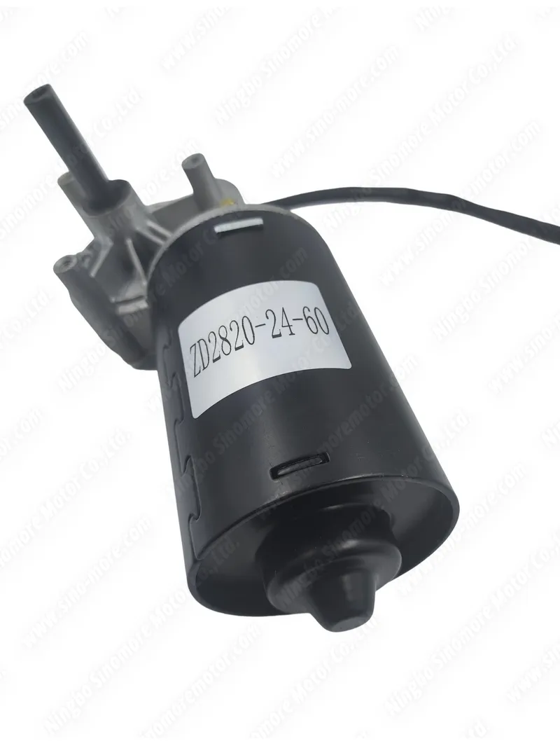 DC Gear Motor 2
