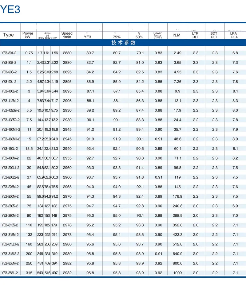 Motor Technical Specifications 2