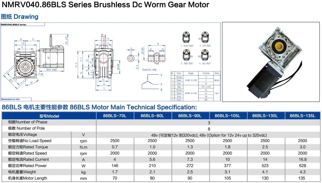 Worm Gear Motor 2
