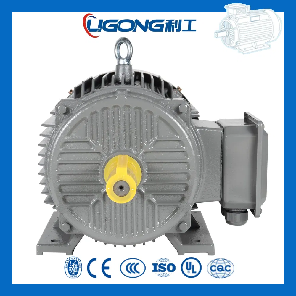 Yd-180L-8/6/4 Triple-Speed Speed Variable Yd Three-Phase Asynchronous Motor 7kw/9kw/12kw for Packaging Machinery