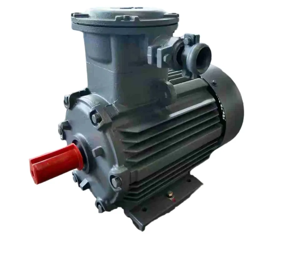 AC Induction Electric Motor