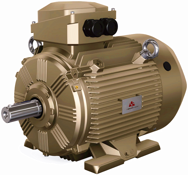 WE4 High-efficiency Three-phase IE4 AC Asynchronous Motor(80~355mm 0.75~375kW ) Made in WOLONG China